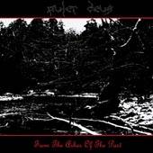 Puter Deus : From The Ashes Of The Past